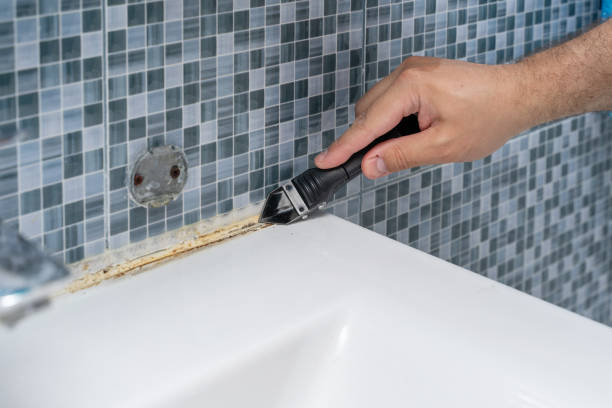 Best Mold Remediation for Schools in Rosemount, OH